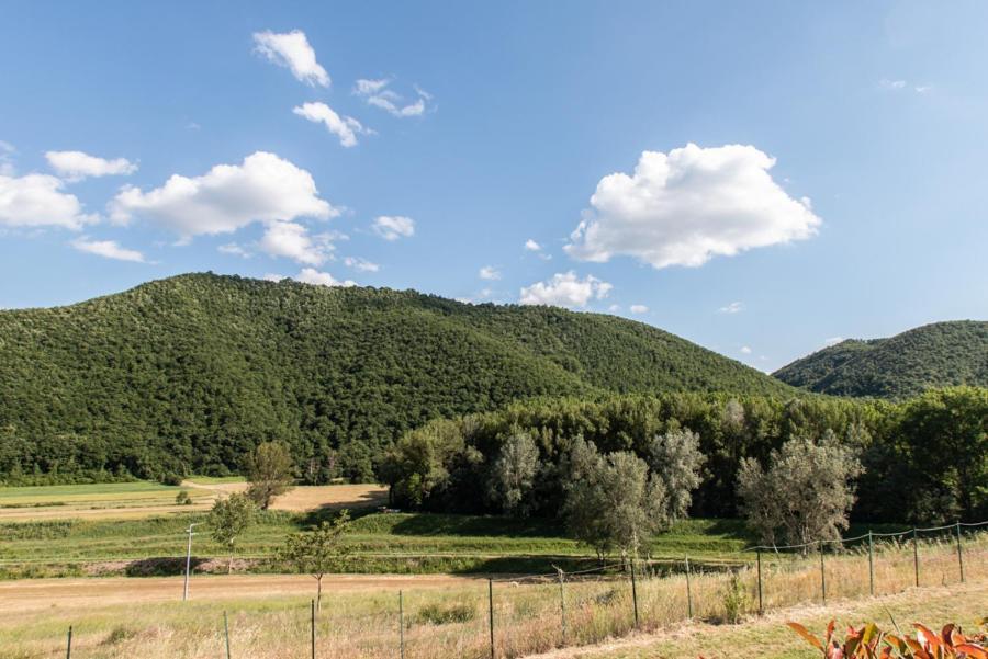 Il Colombaio Agriturismo 몬테가비오네 외부 사진