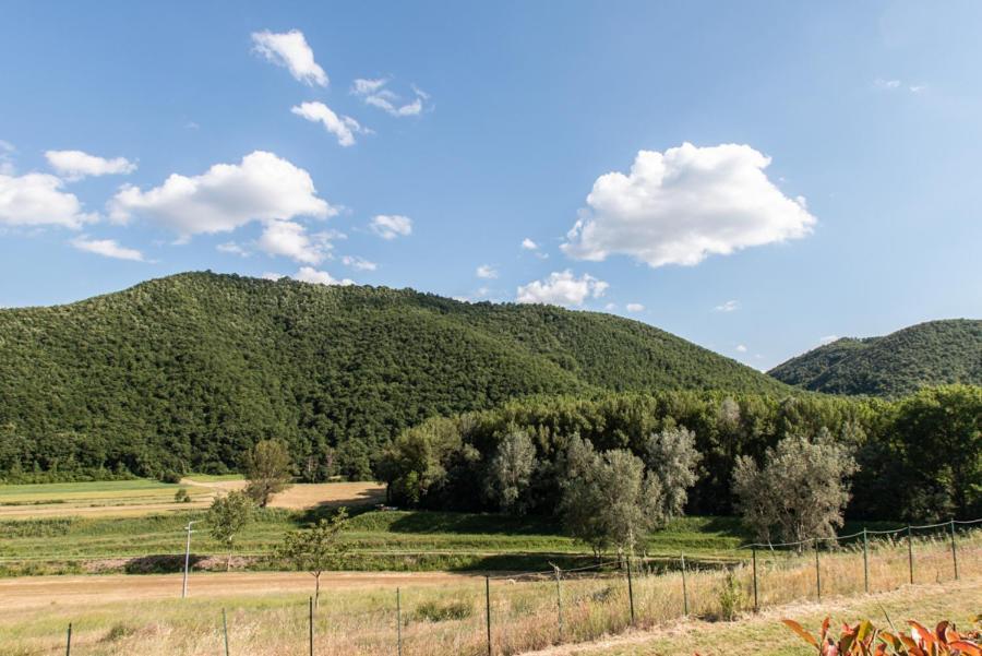 Carnaiola Il Colombaio Agriturismo 빌라 외부 사진