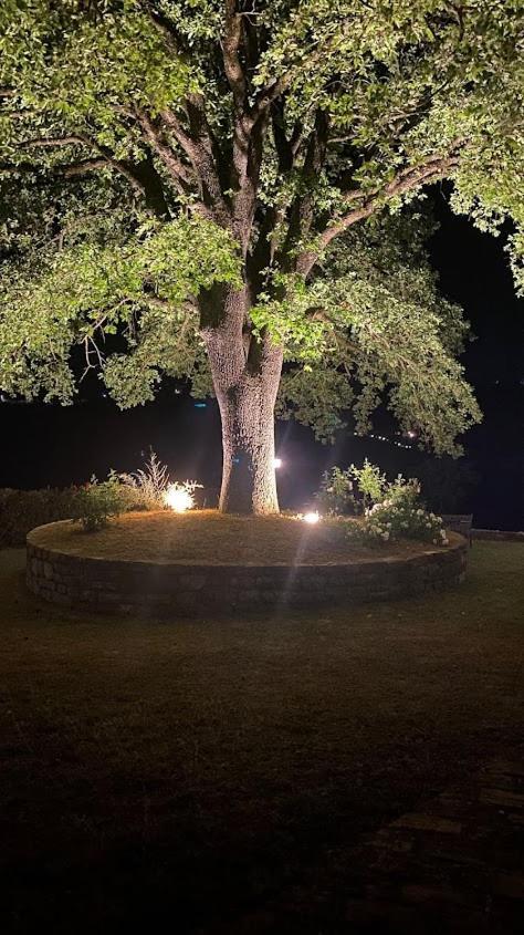 Il Colombaio Agriturismo 몬테가비오네 외부 사진