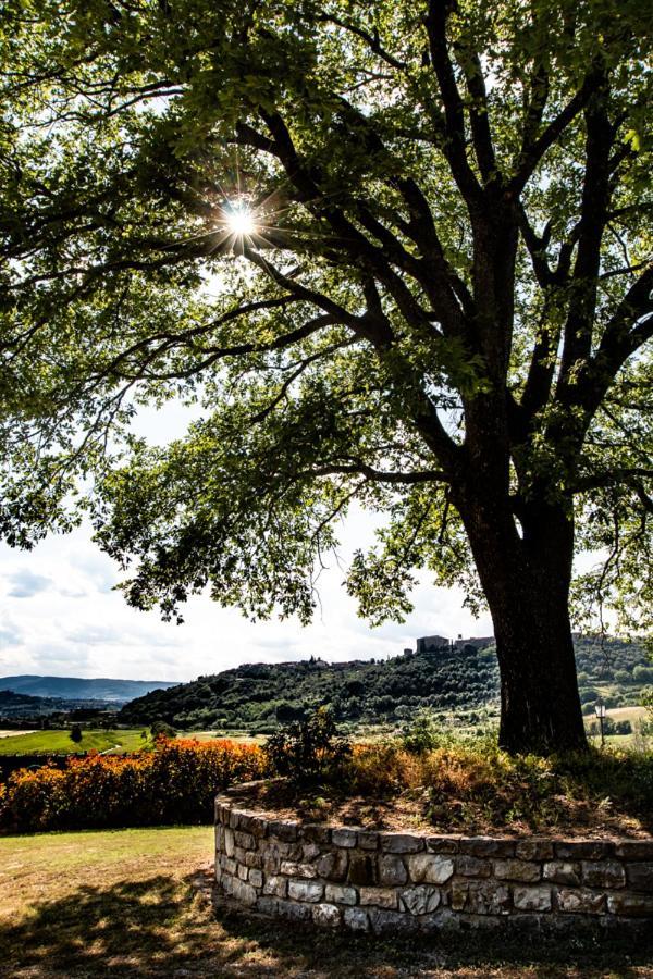 Il Colombaio Agriturismo 몬테가비오네 외부 사진